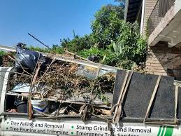 Best Shed Removal  in Morehead City, NC