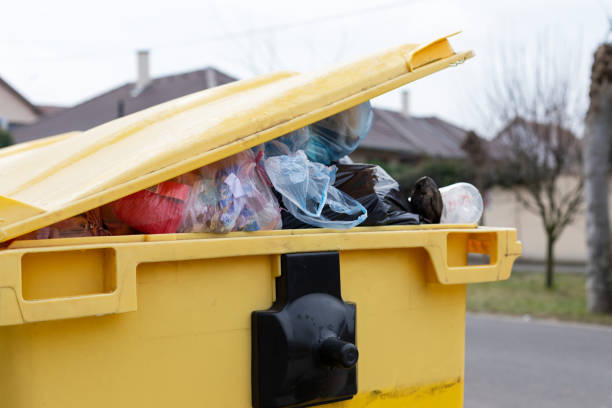 Best Dumpster Rental Services  in Morehead City, NC